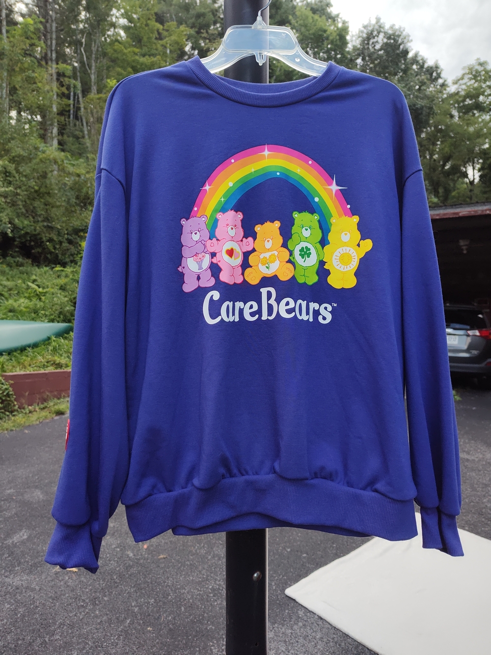 Care Bears Women's Purple Rainbow Graphic Sweatshirt